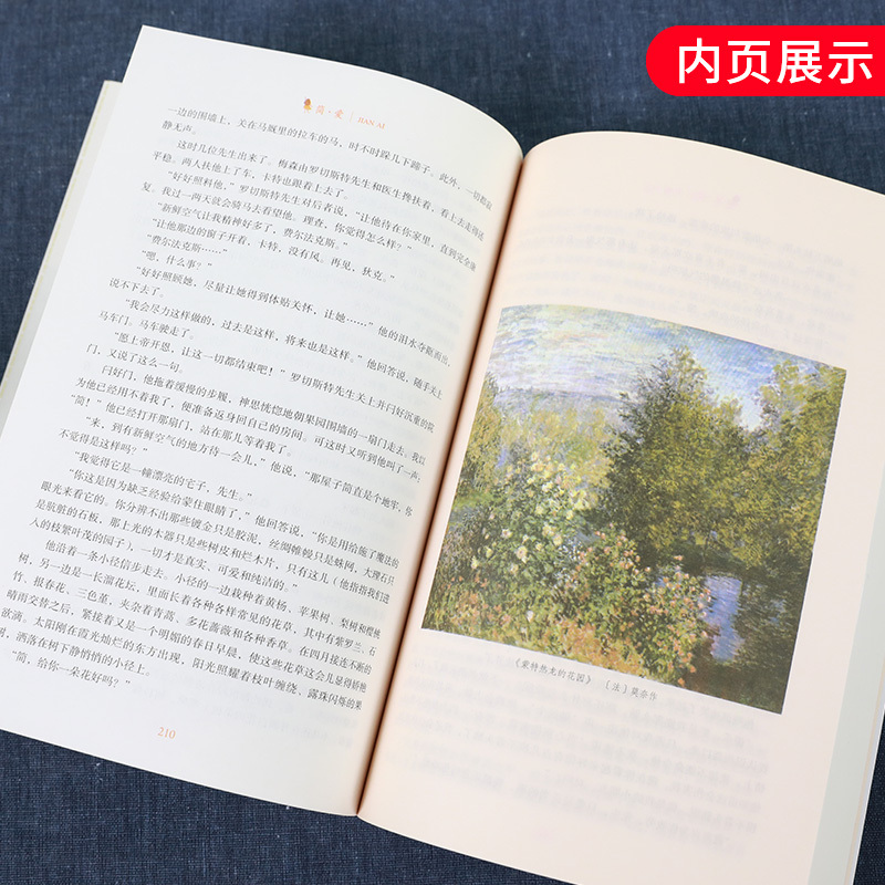 我是猫 [正版][人教版] 儒林外史简爱书籍原著人民教育出版社 简爱和儒林外史九年级下册语文三课外阅读文学名著