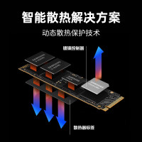 三星 2TB SSD固态硬盘 M.2接口(NVMe协议PCIe 4.0 x4) 990 PRO MZ-V9P2T0BW