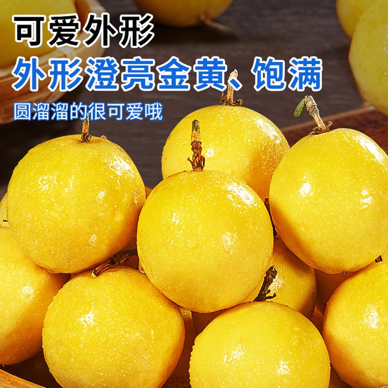 冠町 海南钦蜜9号黄金百香果中果5斤礼盒装(单果50-70g)新鲜当季水果生鲜高清大图