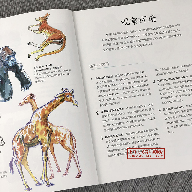 [醉染正版]5分钟创意速写课 如何画动物 动物绘画技法经典图书 速写教程绘画入门自学零基础书 素描书入门自学零基础 铅笔高清大图