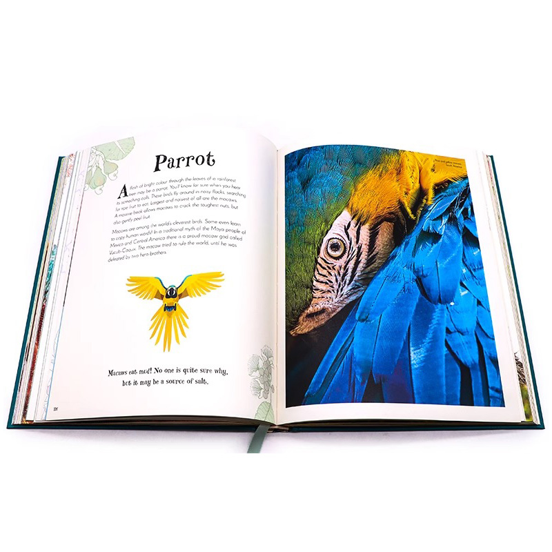 DK典藏博物馆:植物的秘密世界 [正版]DK典藏博物馆系列 自然/生物/宇宙/世界/地球探索发现图解百科An Antho高清大图