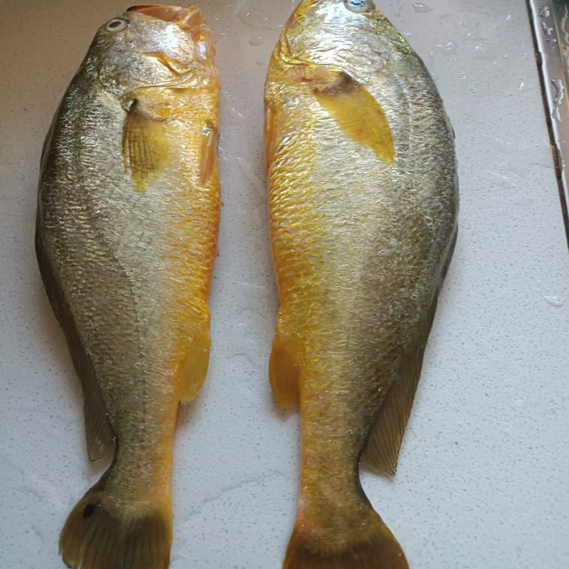 皖南高山散养黑毛猪肉鸡鸭鱼套餐500B