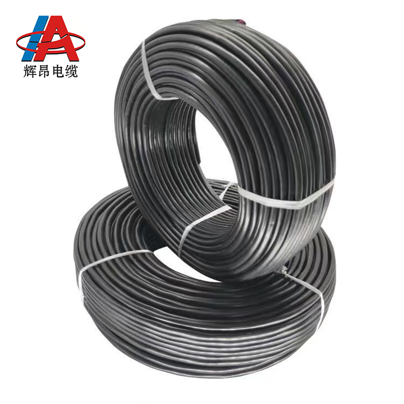 辉昂 屏蔽双绞线 RVSP 300/300V -5*1.0平方 盘高清大图