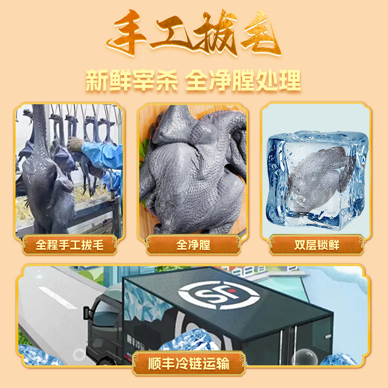 雀淘 白羽乌鸡800g/只 1只装 新鲜现杀冷冻肉质鲜美农家慢养整只顺丰发货高清大图