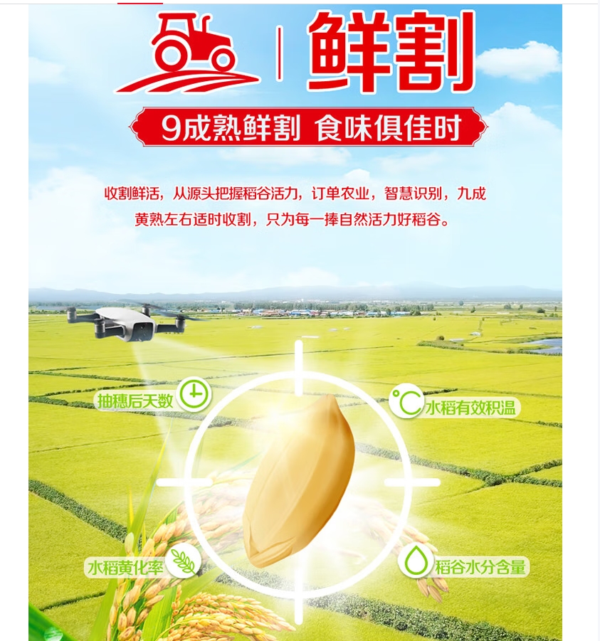 金龙鱼原香稻(编织袋)5KG高清大图