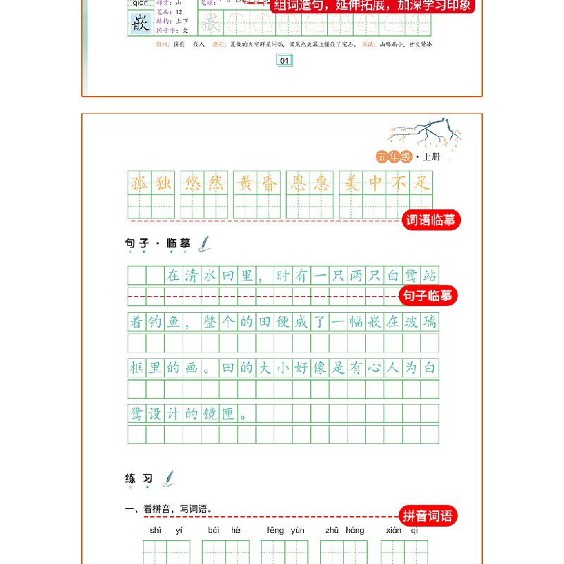醉染图书AG5年级上册/写好中国字9787540160029高清大图