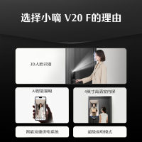 德施曼智能门锁指纹锁密码锁家用入户门锁防盗门锁V20F