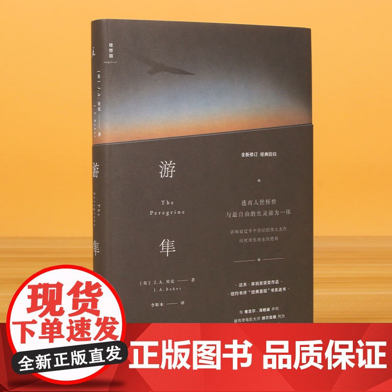 游隼高清大图