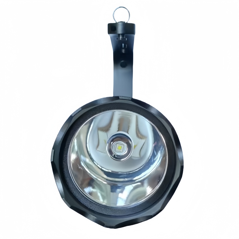 XD JX.XINGDIAN 手提式防爆探照灯 XD-768 35W 个高清大图