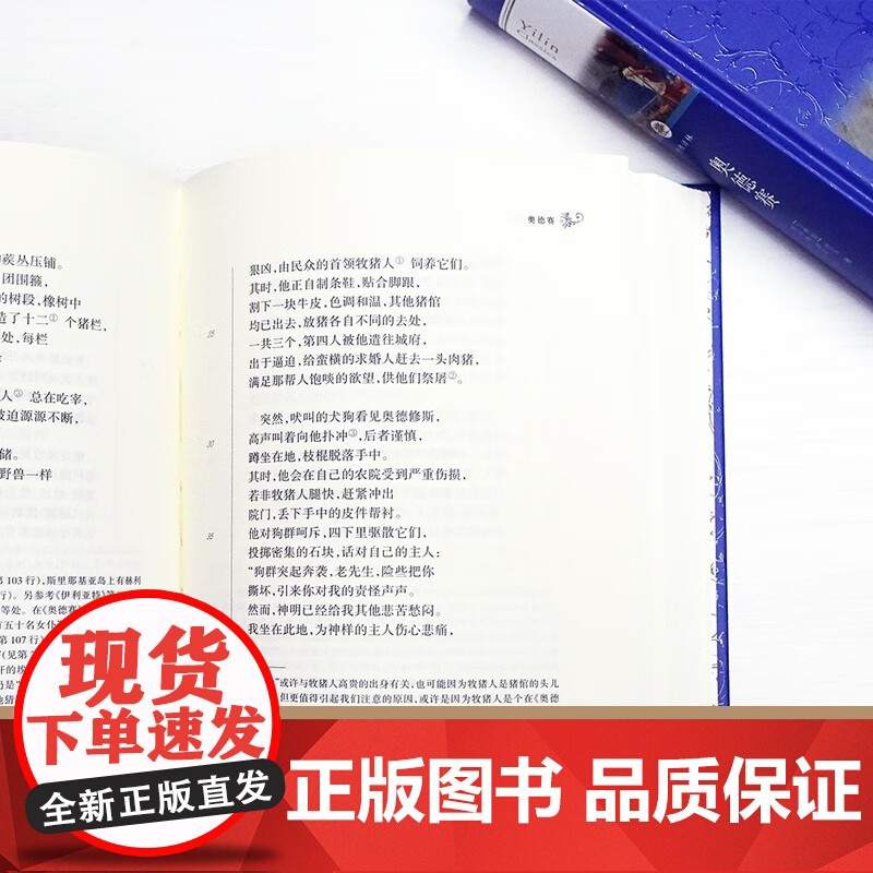 经典译林 奥德赛 荷马 著 文学高清大图