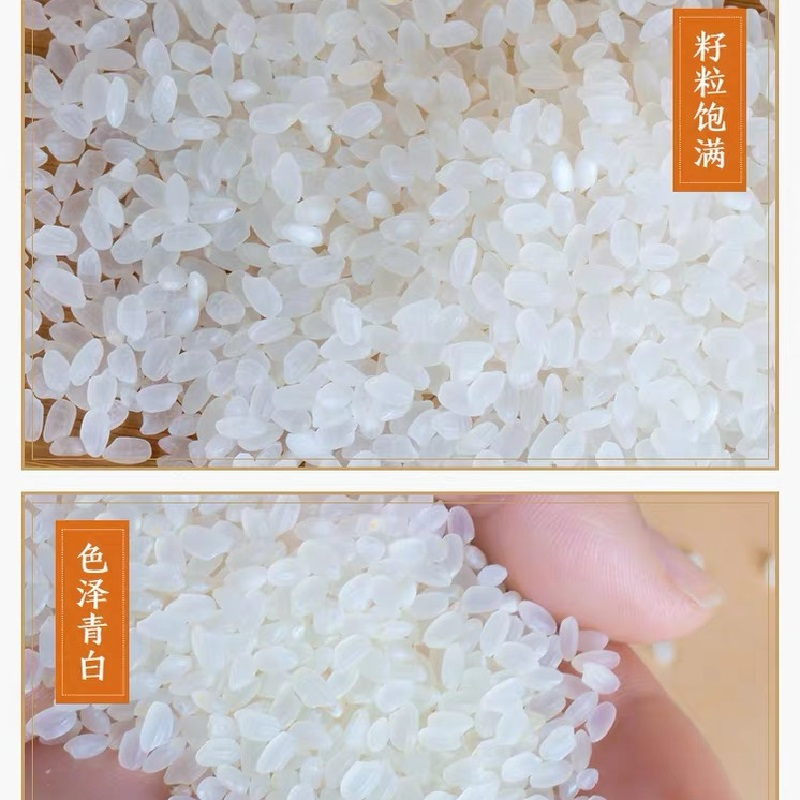五丰 小产地盘锦大米5kg