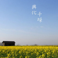 兴化千垛油菜花风景区含游船