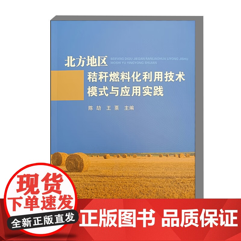 北方地区秸秆燃料化利用技术模式与应用实践 秸秆炭气油多联产利用模式 秸秆直燃锅炉集中供热模式 秸秆沼气工程利用模式参考书
