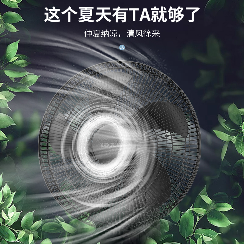 先锋(SINGFUN)电风扇壁扇家用可摇头5叶机械拉绳风扇 DBS-B2