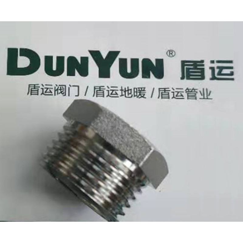 盾运(DUNYUN)铜补芯4分 整箱销售 600只/箱