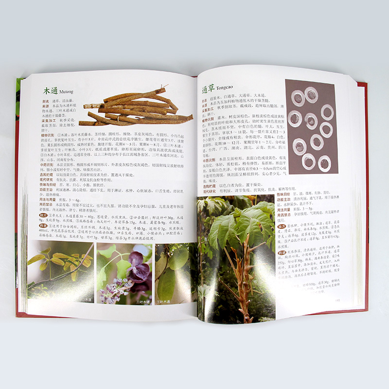 [醉染正版]正版 图解中草药大全 药材植物彩图中药大全 中草药识别百科全书 中草药秘方书中医养生保健大全中草药识别百高清大图