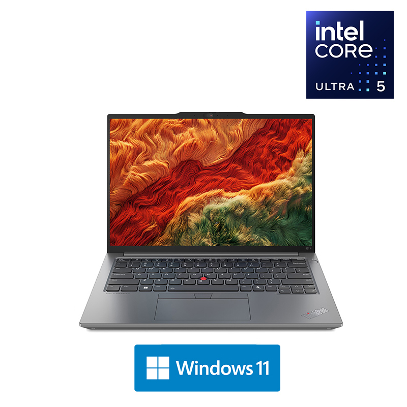 ThinkPad E14 19CD AI 2024 经典商务本 14英寸笔记本电脑 英特尔酷睿Ultra 5 125H 32G 2T固态 锐炫Arc显卡 2.2K高色域 银