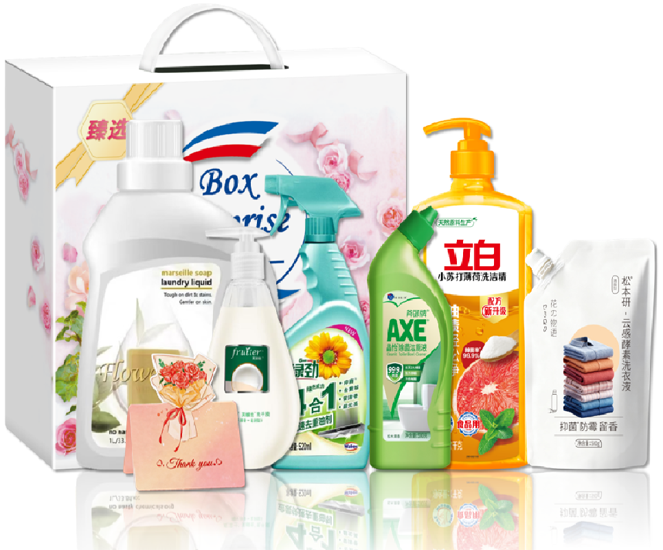 立白家庭清洁甄选套装26NS14