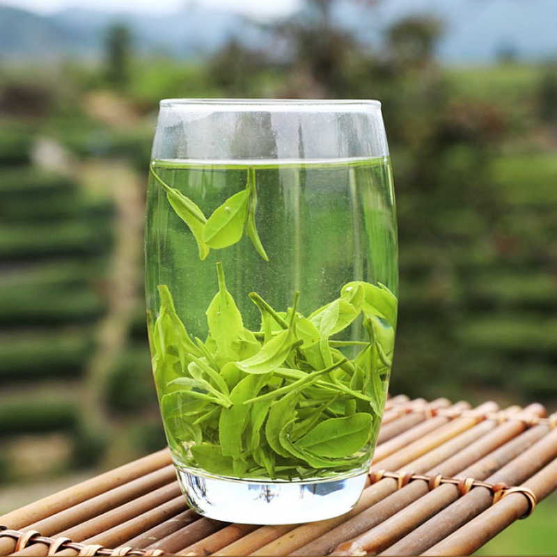 [共500g]2020新茶浙江龙井绿茶茶叶礼盒装雨前龙井香浓