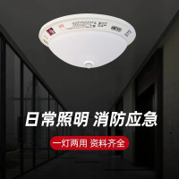 安庆 消防吸顶应急灯18w 单个装