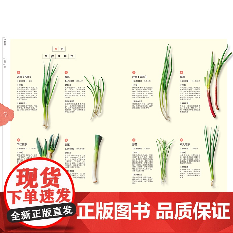 蔬菜的基础知识 四季蔬菜大图 解读食用蔬菜的正确方法 应季性与产地 分类与品种 栽培烹饪保存方法介绍 百科书籍高清大图