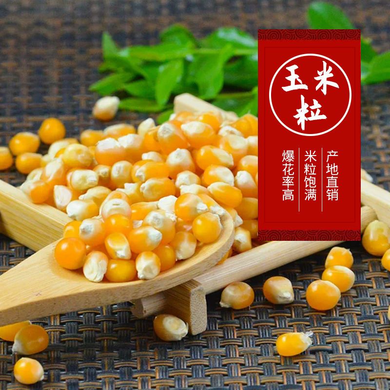 蝶形球形爆米花玉米粒爆裂小玉米粒家庭爆米花用玉米粒苞米粒 蝶形1斤