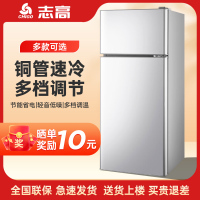 志高(CHIGO)志高BCD-99A189L双门银色