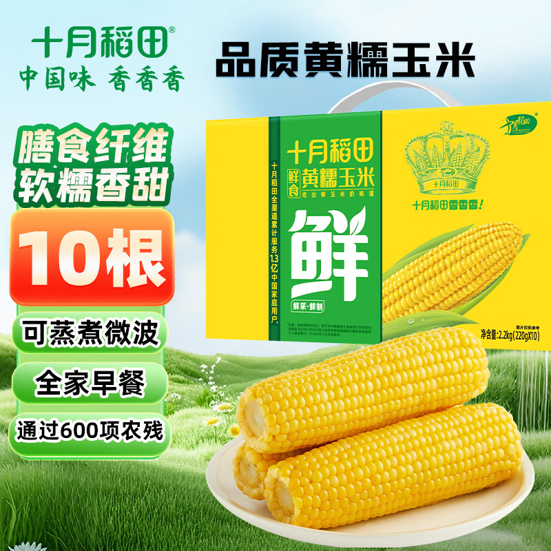 十月稻田 黄糯玉米4.4斤(220g*10根) 东北糯玉米 低脂礼盒 早餐杂粮高清大图