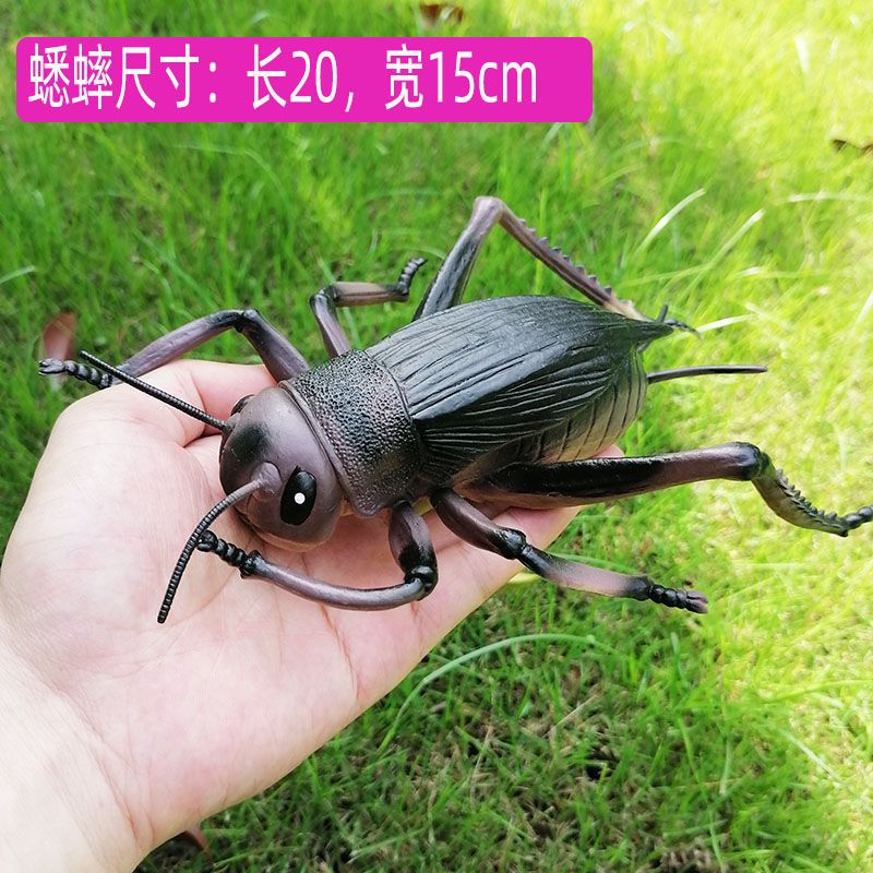 仿真小动物昆虫模型大个头过家家玩具蚂蚁蟋蟀蜘蛛蝎子瓢虫蜻蜓 蜘蛛