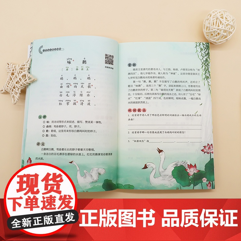 5册有道精品课朝代大观包君成作文书大全小学生背文言文75+80古诗词完全解读首四五六年级文语方程式文学素养三件套提升写作高清大图