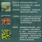克莉娜 特级初榨橄榄油750ML*1礼盒