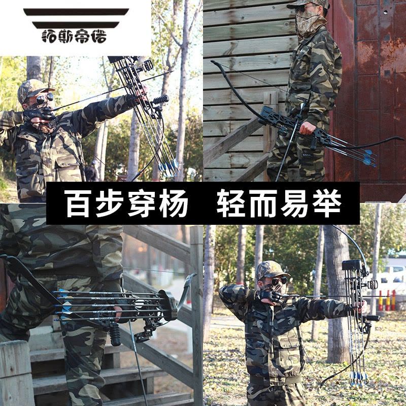 拓斯帝诺逍遥专业金属反曲弓复合弓箭入门射击套装户外传统美猎弓射箭运动图片