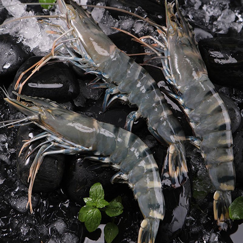 券后89元3件千渔旺活冻越南黑虎虾进口大虾400g约20只盒冷冻海虾老虎