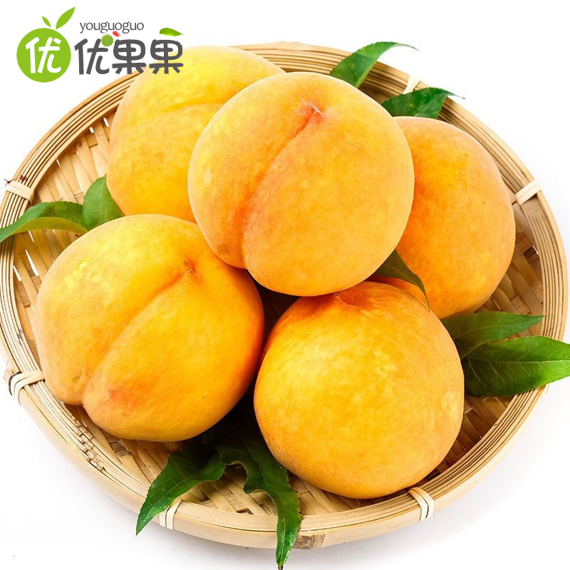 山东蒙阴黄桃带箱 5斤约12-18个左右新鲜现摘现发脆甜多汁可口应季水果脆桃黄桃毛桃