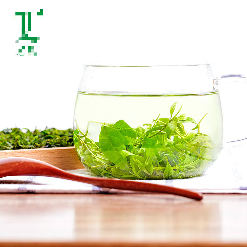 小叶苦丁茶新茶茶 小叶二罐装150克