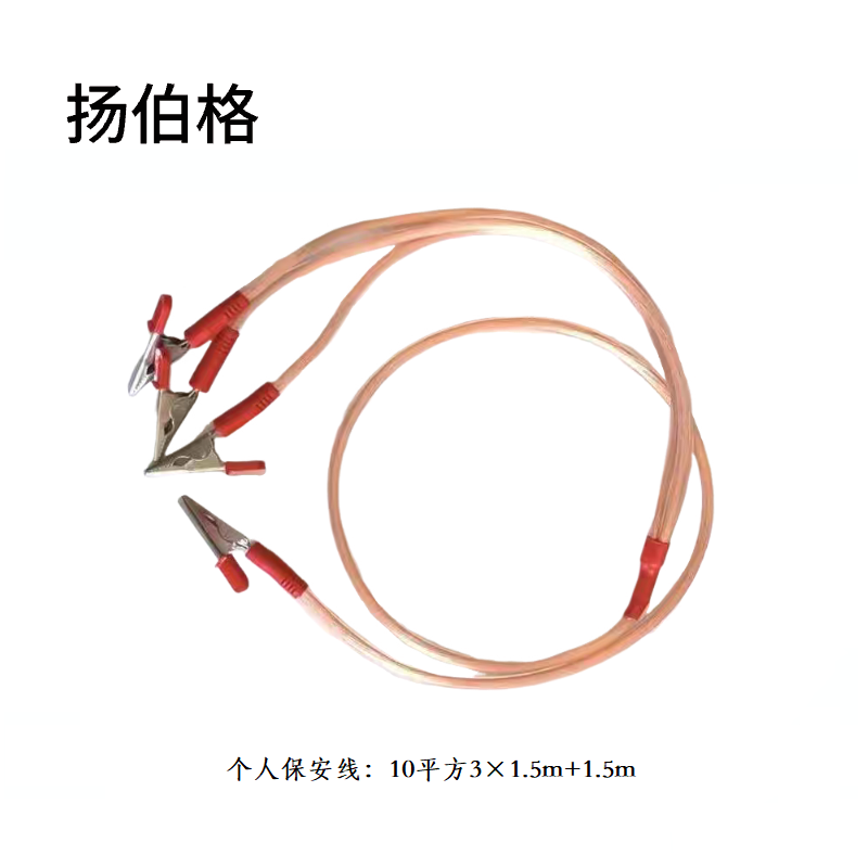 扬伯格 个人保安线 10平方3×1.5m+1.5m 根高清大图