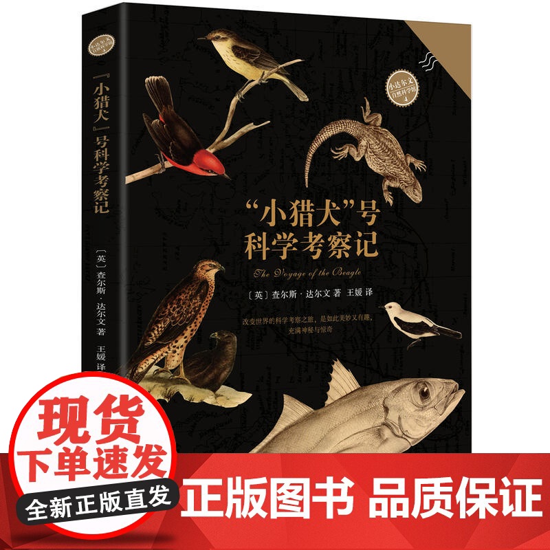 “小猎犬”号科学考察记高清大图