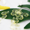 [官方旗舰店]2瓶装 澳乐乳 澳洲进口藻油DHA 90粒/瓶 植物外壳CC