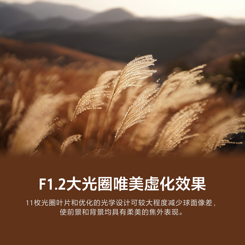 索尼(SONY)FE 50mm F1.2 GM 全画幅大光圈定焦G大师镜头 (SEL50F12GM)高清大图