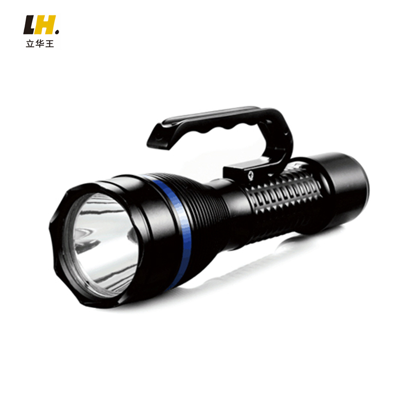 立华王 (LihuaKing) LH3300C 12W、IP65、电压DC22.2V