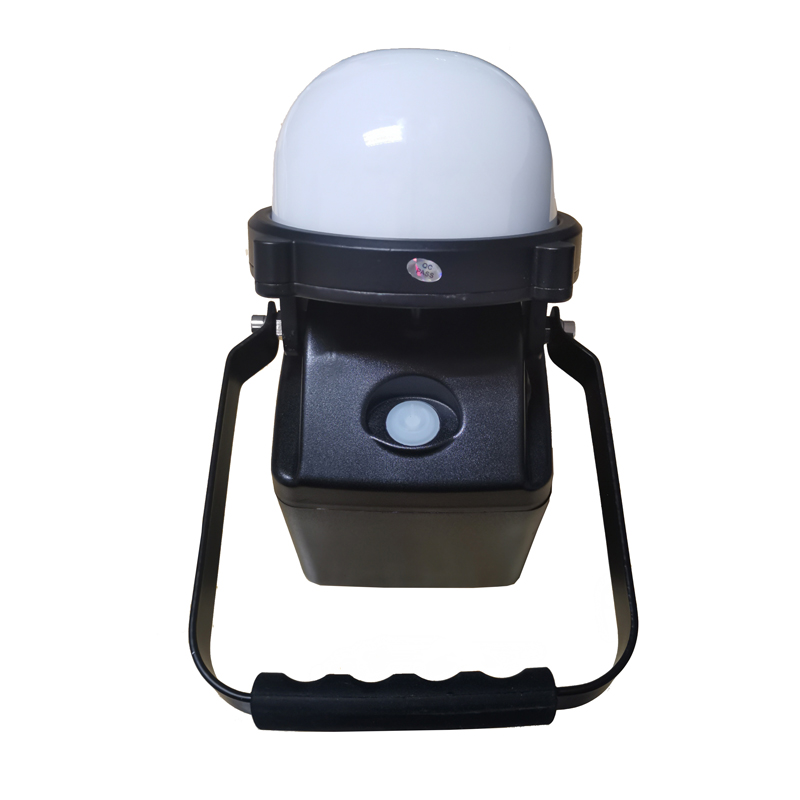 宝富睿光电 BFL2060(F) LED 11.1V 12W IP66 6000K 轻便式装卸灯 (计量单位:盏) 黑色高清大图