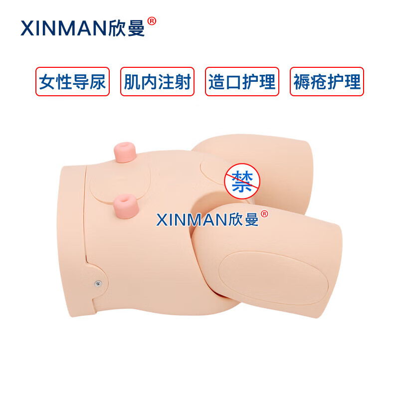 欣曼科教 高级女性导尿操作训练模型 导尿练习模拟人XM-H11高清大图