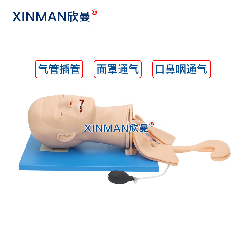 欣曼科教 高级全功能气道管理模型 高级气道管理模拟人XM-QD11高清大图