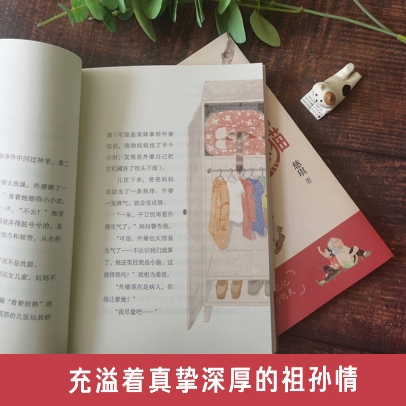 外婆变成了麻猫 [正版]外婆变成了麻猫三年级暑假阅读书目三年级暑期书单关于衰老与遗忘爱与陪伴的童话作品适合小学中高年级7