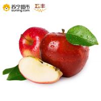 新西兰加力果(150克以上/单果)/6粒