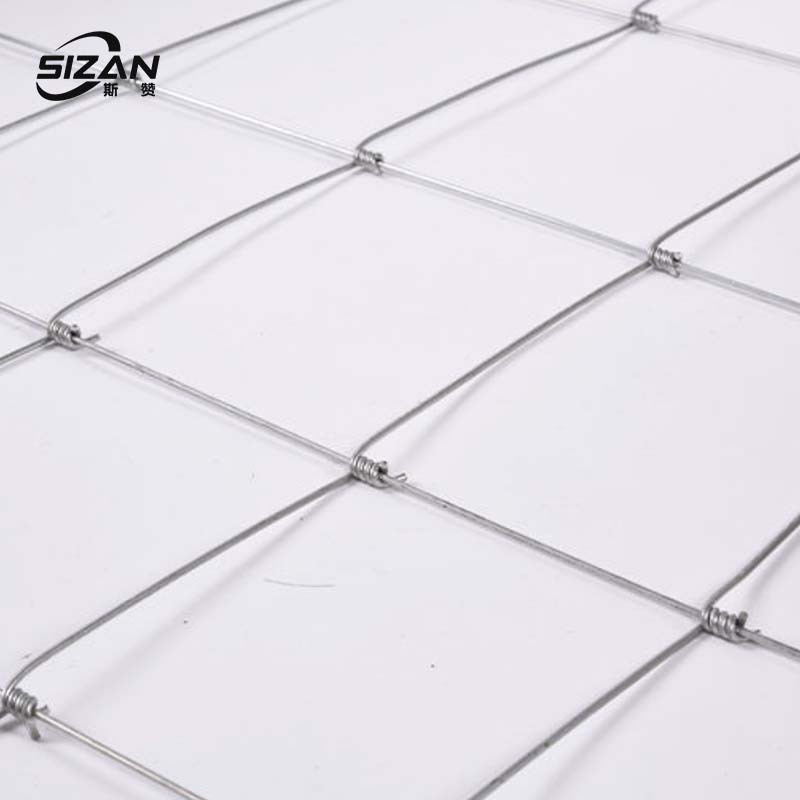 斯赞 镀锌网加密网片 孔50*50mm 高700mm 米
