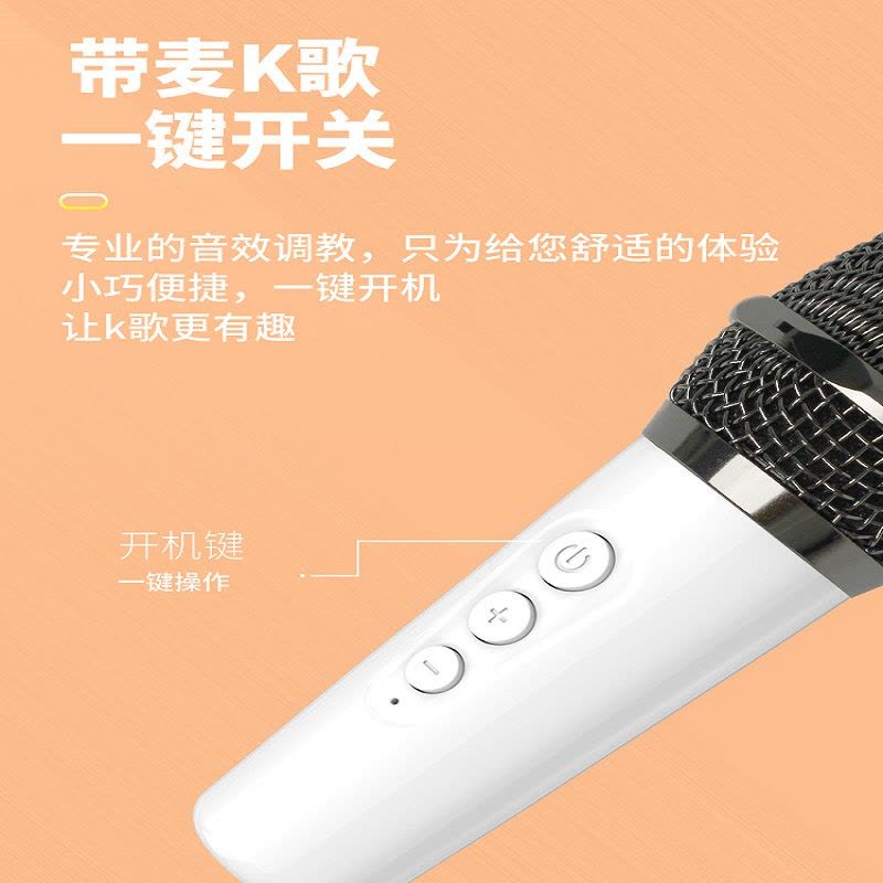 无线话筒防啸叫家用唱歌专用KTV会议主持户外K歌老师上课教学导游麦克风无杂音扩音器通用图片