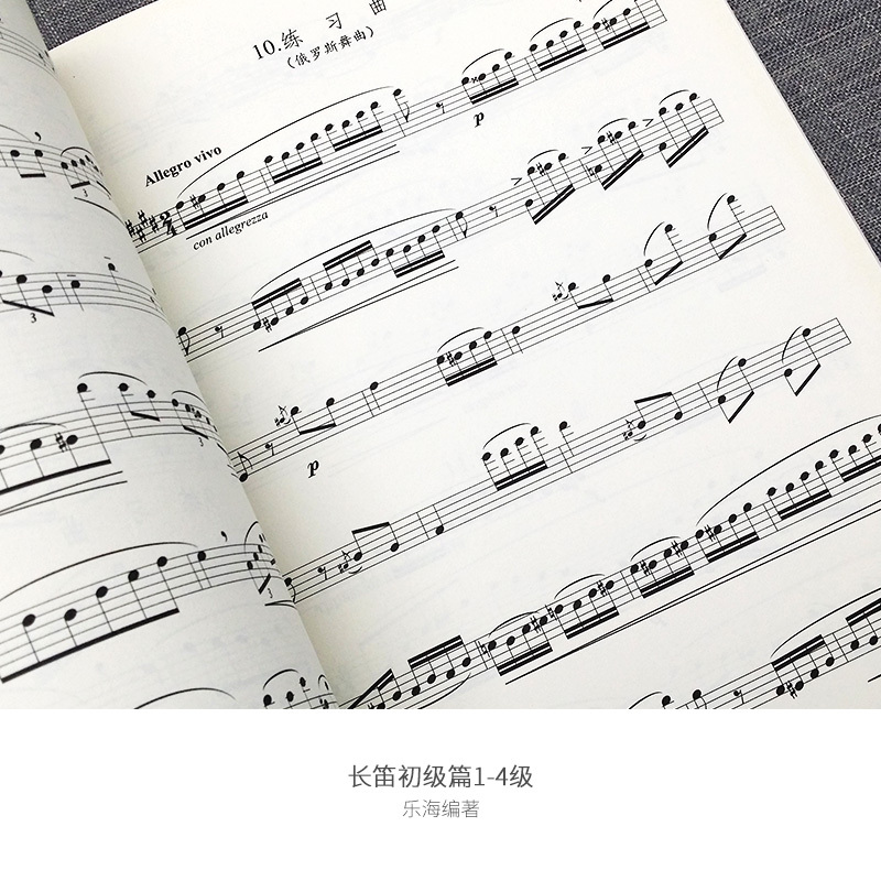 五线谱乐海编著北京日报出版西洋乐器教程系列长笛考级长笛初级>800