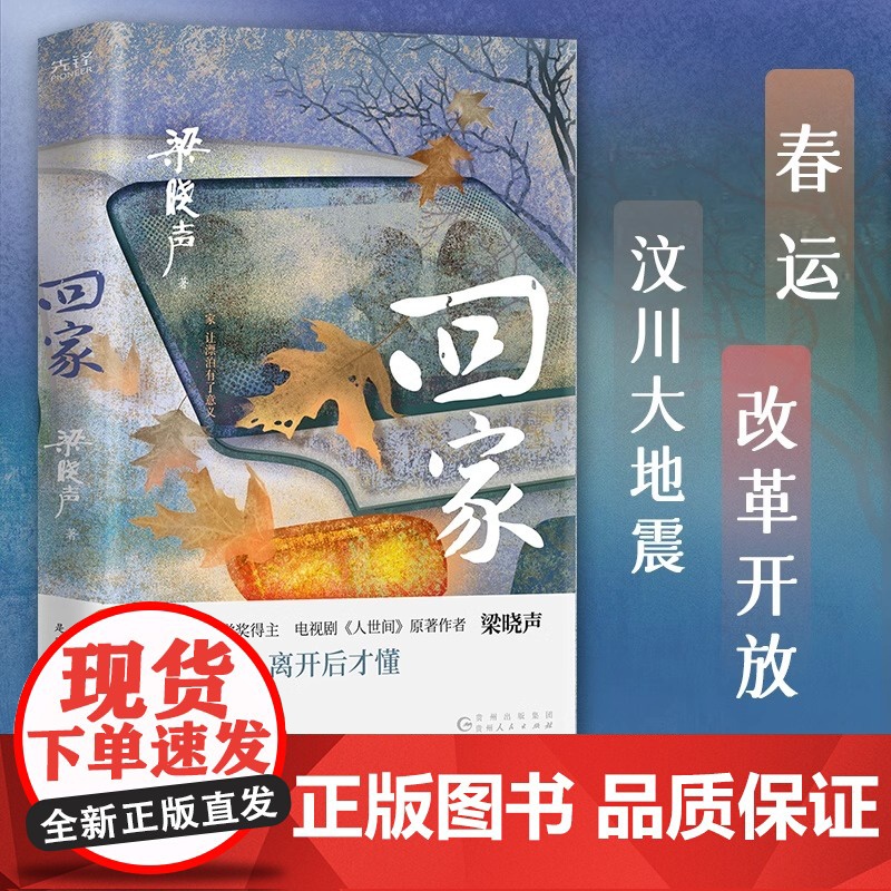 [央视网]回家 第十届茅盾文学奖得主梁晓声著 电视剧人世间 入选小说月报中篇小说选刊中华文学选刊 聚焦大时代中的平凡小人高清大图