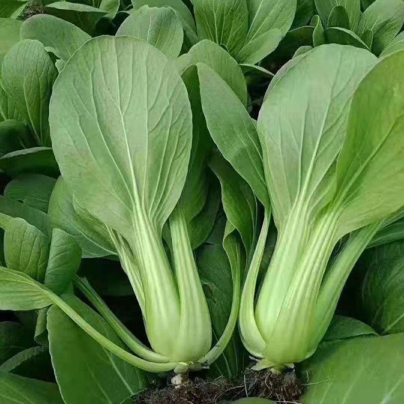 副食品 一批 (货物明细附 清单)